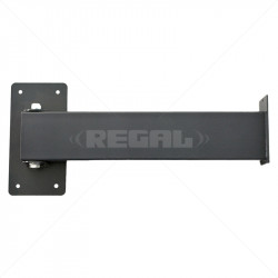 BPT - Swing Arm excl Mounting Plate Wall Mount excl Rainsheild