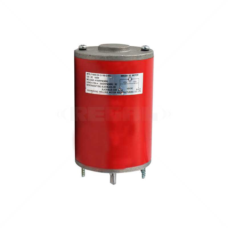 Centurion D5 12VDC Motor only